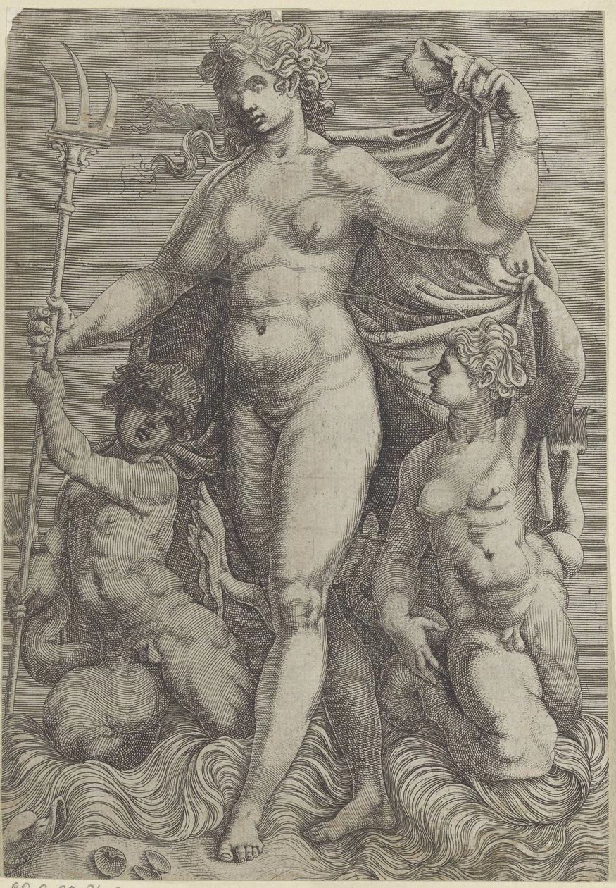 Perin del Vaga - 241, Teti con due tritoni, Rijksmuseum, Amsterdam